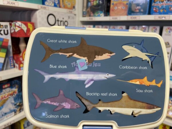 Boite à Gouter Avec Plateau Requins
