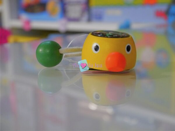 Boussole Canard