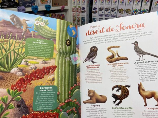 Cherche et Trouve : à La Decouverte des Animaux d' – Image 3
