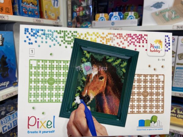 Coffret Pixel Cheval