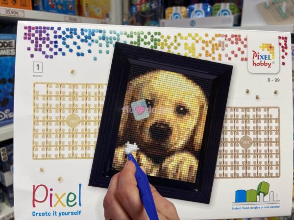 Coffret Pixel Chien