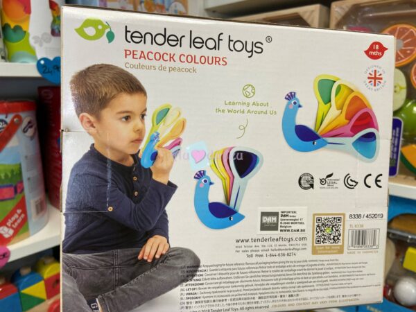 Couleurs de Paon – Image 2