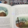 Croc-blanc – Image 3