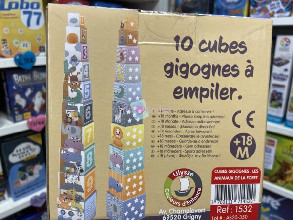 Cubes Gigognes Animaux de la Forêt – Image 2