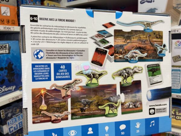 Dinosaures Aux Rayons X – Image 2