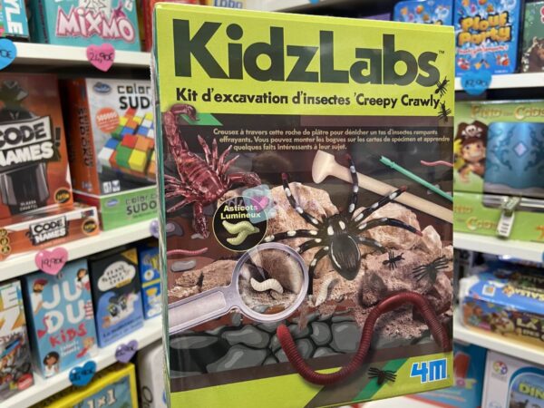 Kit d'excavation Insectes