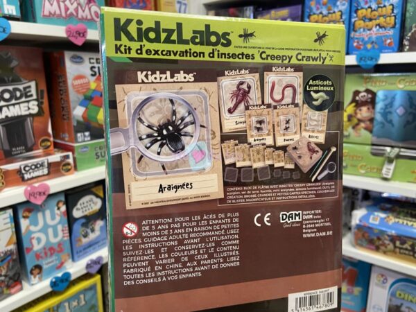 Kit d'excavation Insectes – Image 2