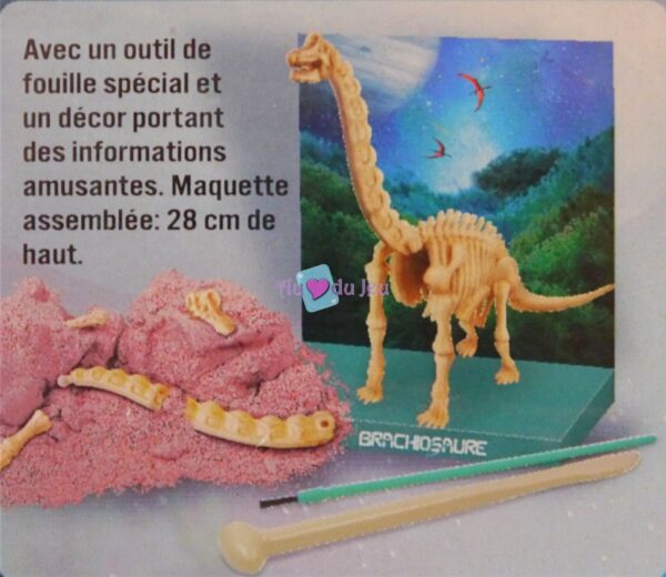 Kit Dinosaure Brachiosaure 4M