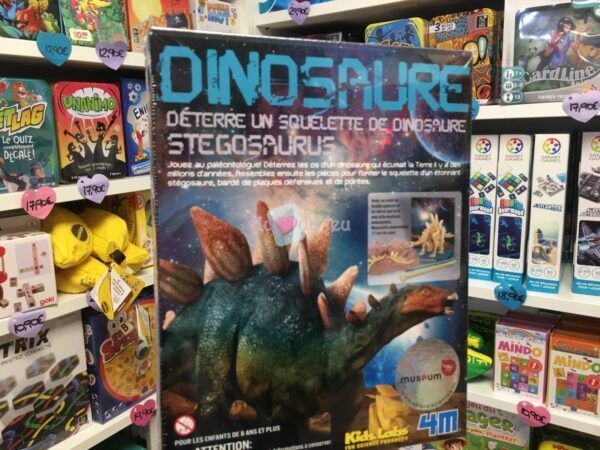 Kit Dinosaure Stegosaurus