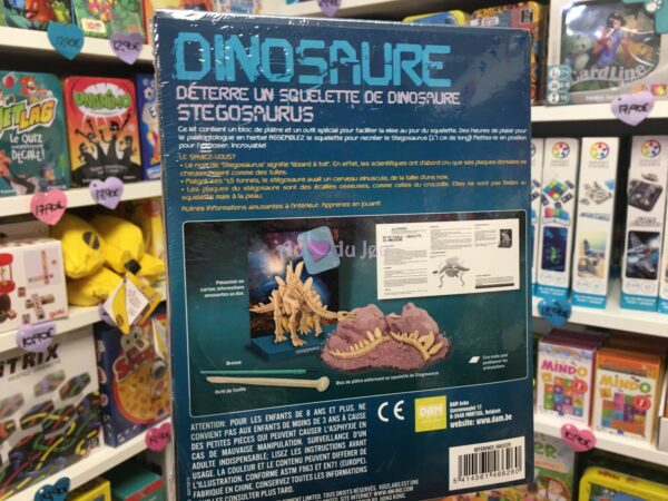 Kit Dinosaure Stegosaurus – Image 2