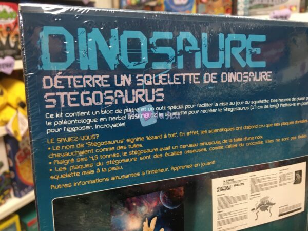 Kit Dinosaure Stegosaurus – Image 3