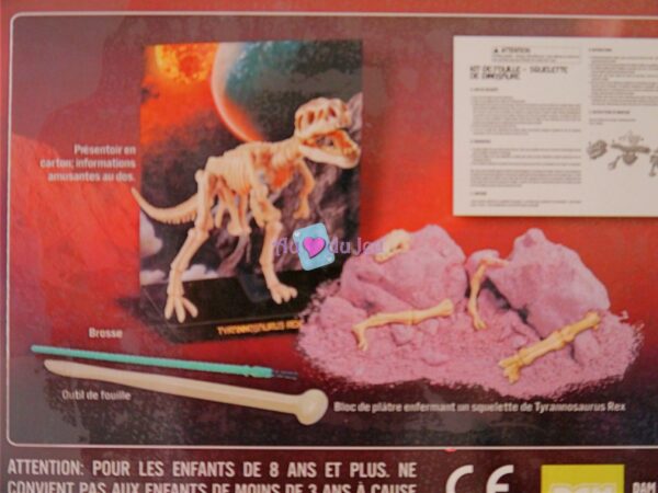 Kit Dinosaure Tyrannosaure 4M