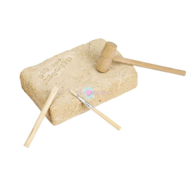 Kit Paleo Crocodile – Image 3