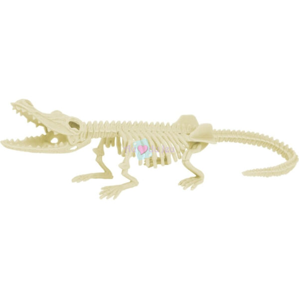 Kit Paleo Crocodile – Image 4