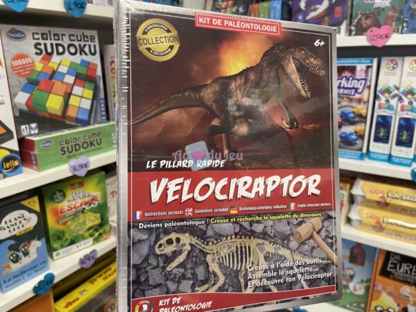 Kit Paléo Vélociraptor Raptor