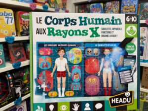 Le Corps Humain Aux Rayons X Headu