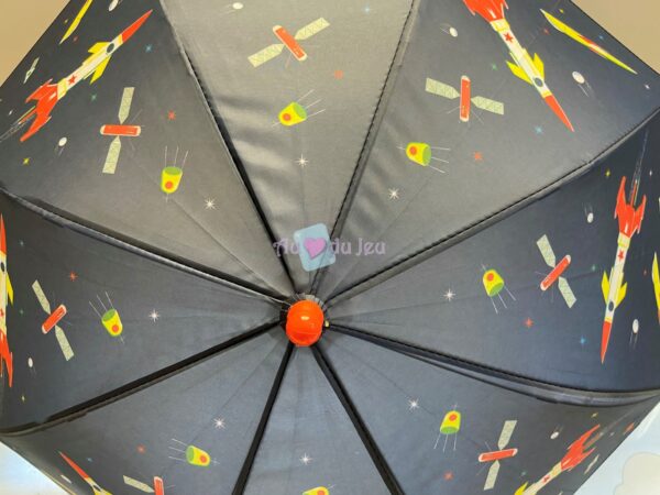 Parapluie Espace