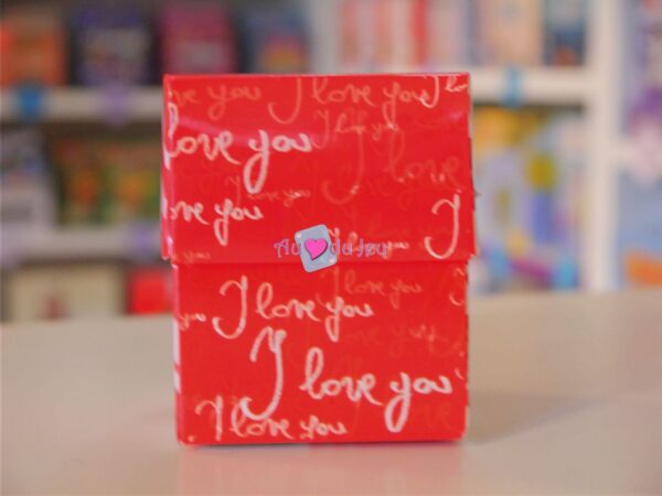Peluches Saint Valentin - Ourson