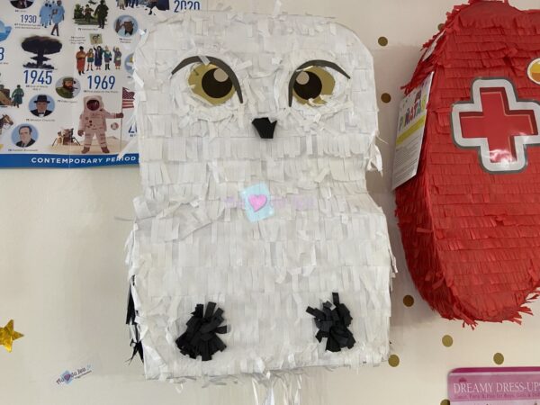 Pinata Chouette