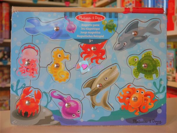 Puzzle Magnétique Poisson