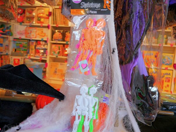 Squelettes En Plastique